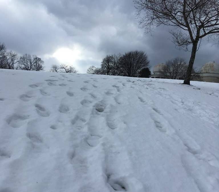 A snowy walk