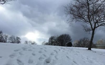 A snowy walk
