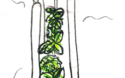 Growing food