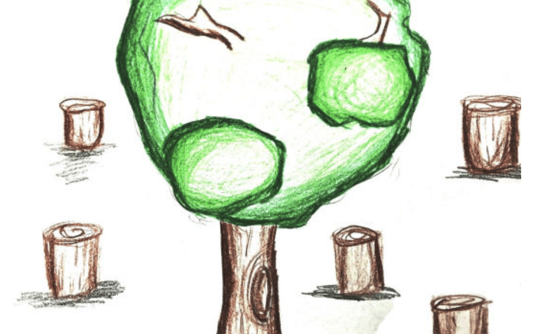 Learning how cities get new tress
