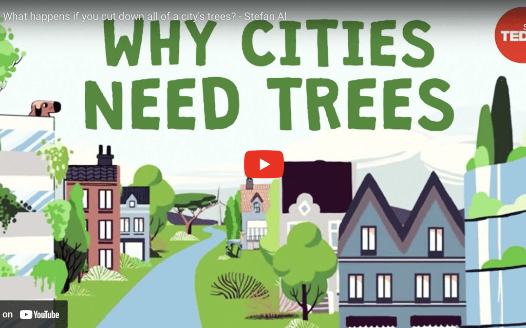Video review: Why cities need trees