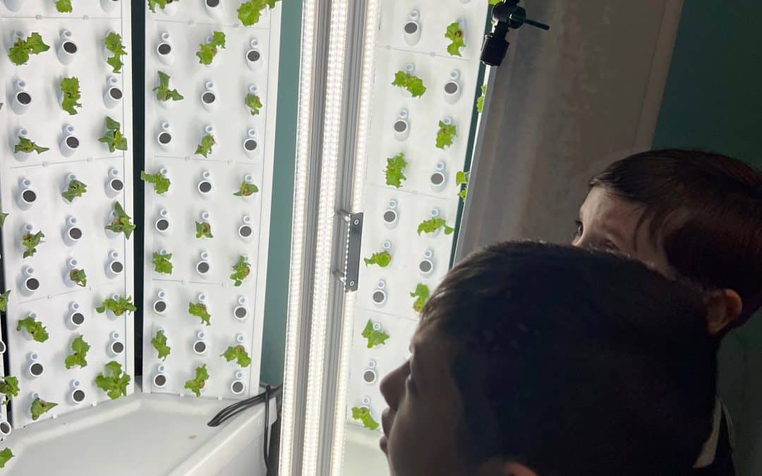 Garden offers a tasty education
