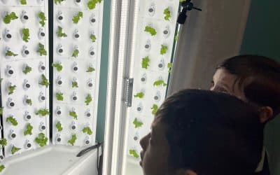 Garden offers a tasty education