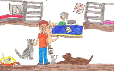 Volunteering has many benefits