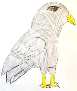 Jax, 4th grade, Cole Manor